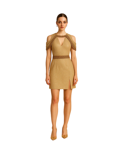 Solaris Sheen Gown