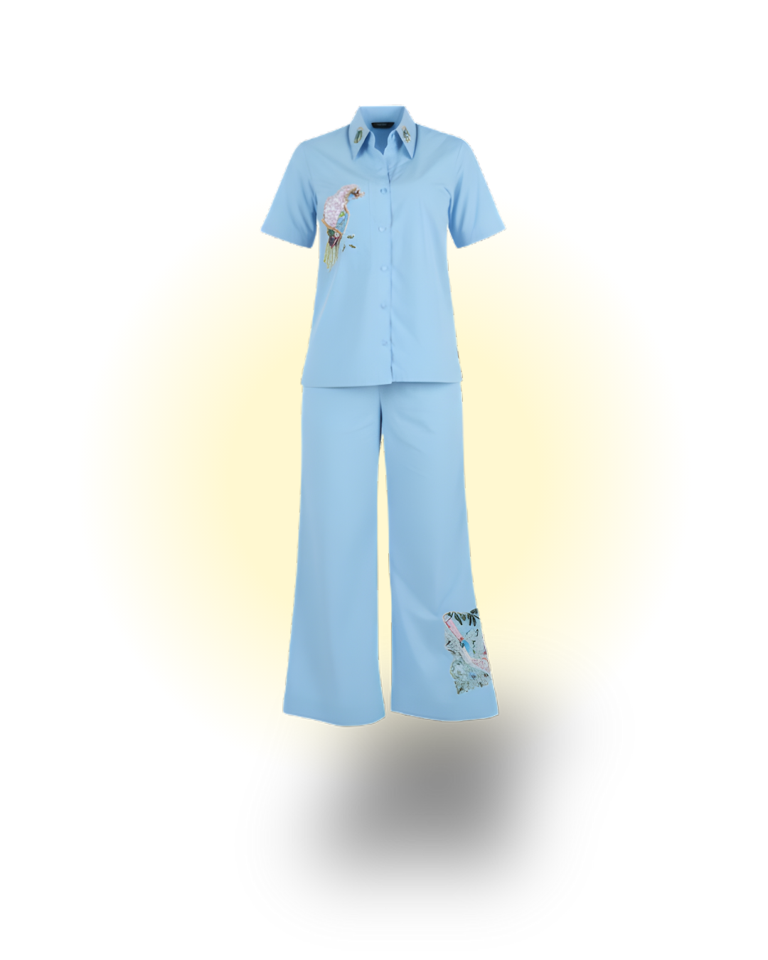 Appliqué Bird Embroidered Blue Co-ord Set