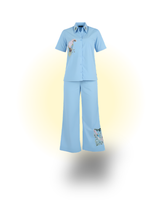 Appliqué Bird Embroidered Blue Co-ord Set